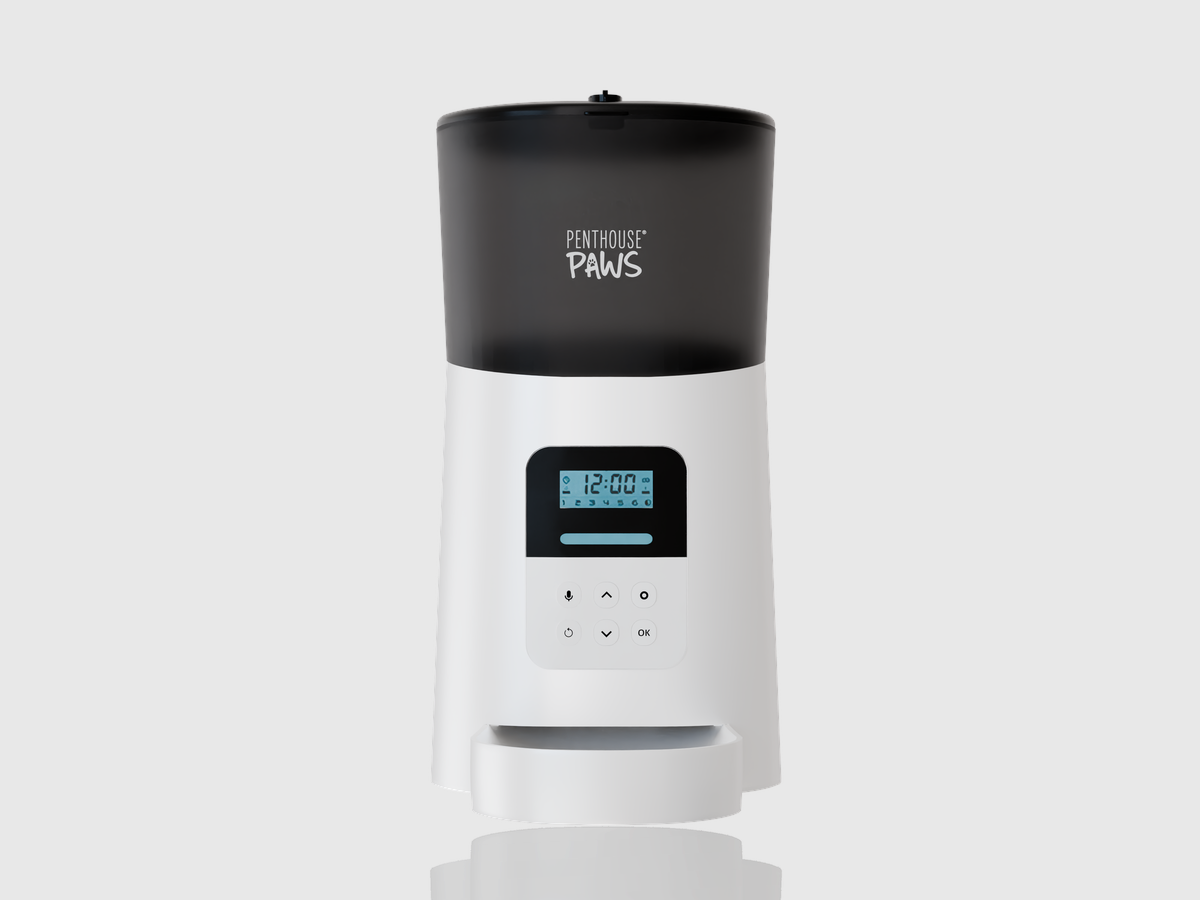 Smart Pet Feeder Visualization