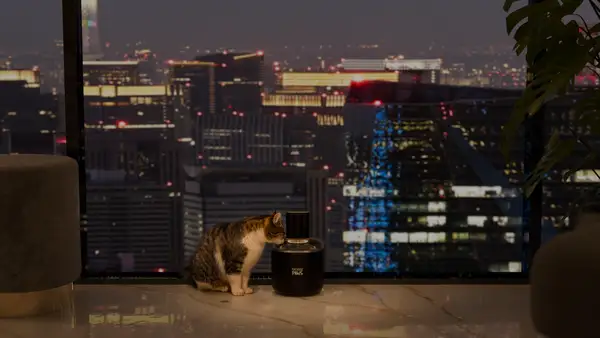 Luxury Pet Fountain Skyline Lifestyle