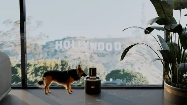 Luxury Pet Lifestyle Visualization