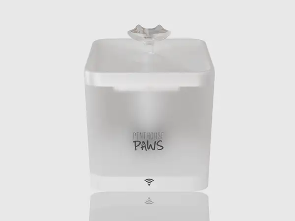 Frosted Pet Hydration Station